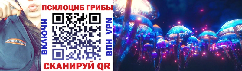 где купить наркотик  Жуковка  Псилоцибиновые грибы Magic Shrooms 